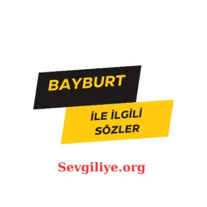 bayburtileilgilisoz