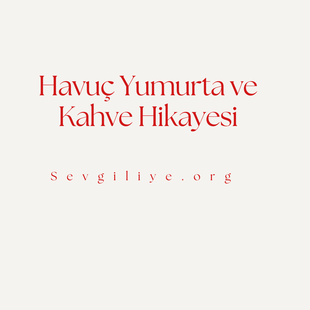 Havuç Yumurta ve Kahve Hikayesi