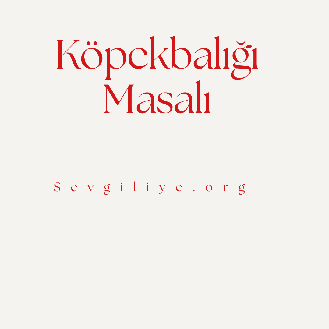 Köpekbalığı Masalı