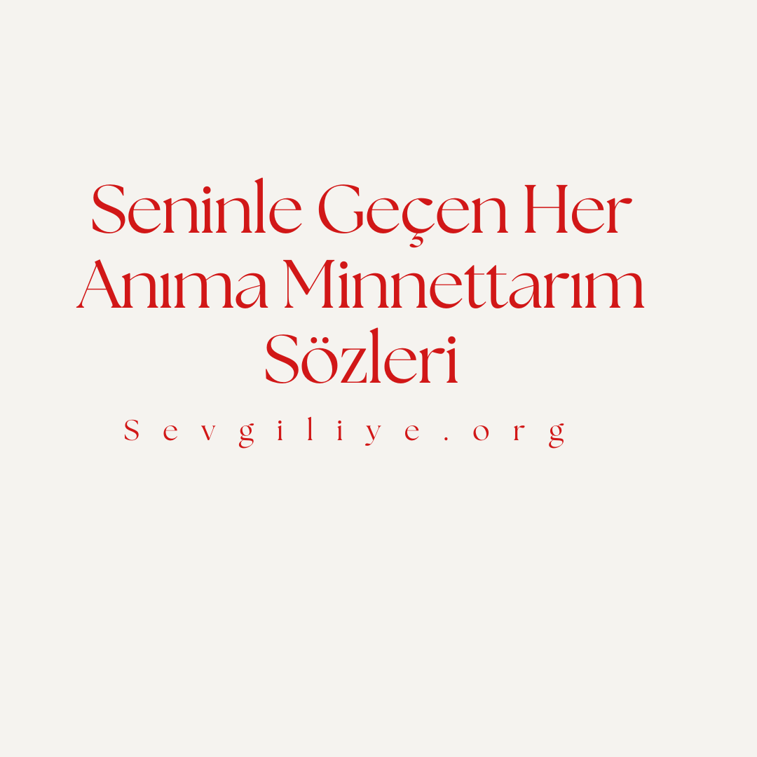 Seninle Geçen Her Anıma Minnettarım Sözleri