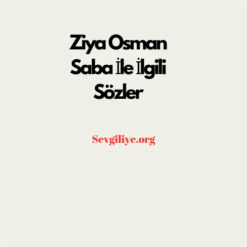 Ziya Osman Saba İle İlgili Sözler